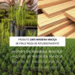 Guarda-roupa Bipartido 6 Portas 6 Gavetas 100% Madeira Maciça Linha Ouro Café - Image 2